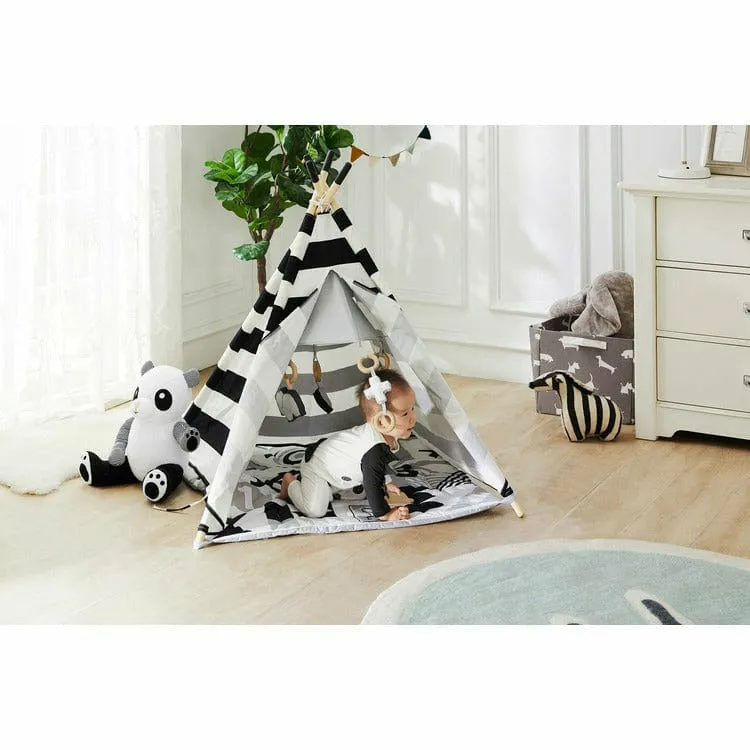 ABC Baby Activity Tent