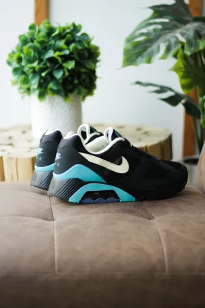 AIR 180 "DUSTY CACTUS"