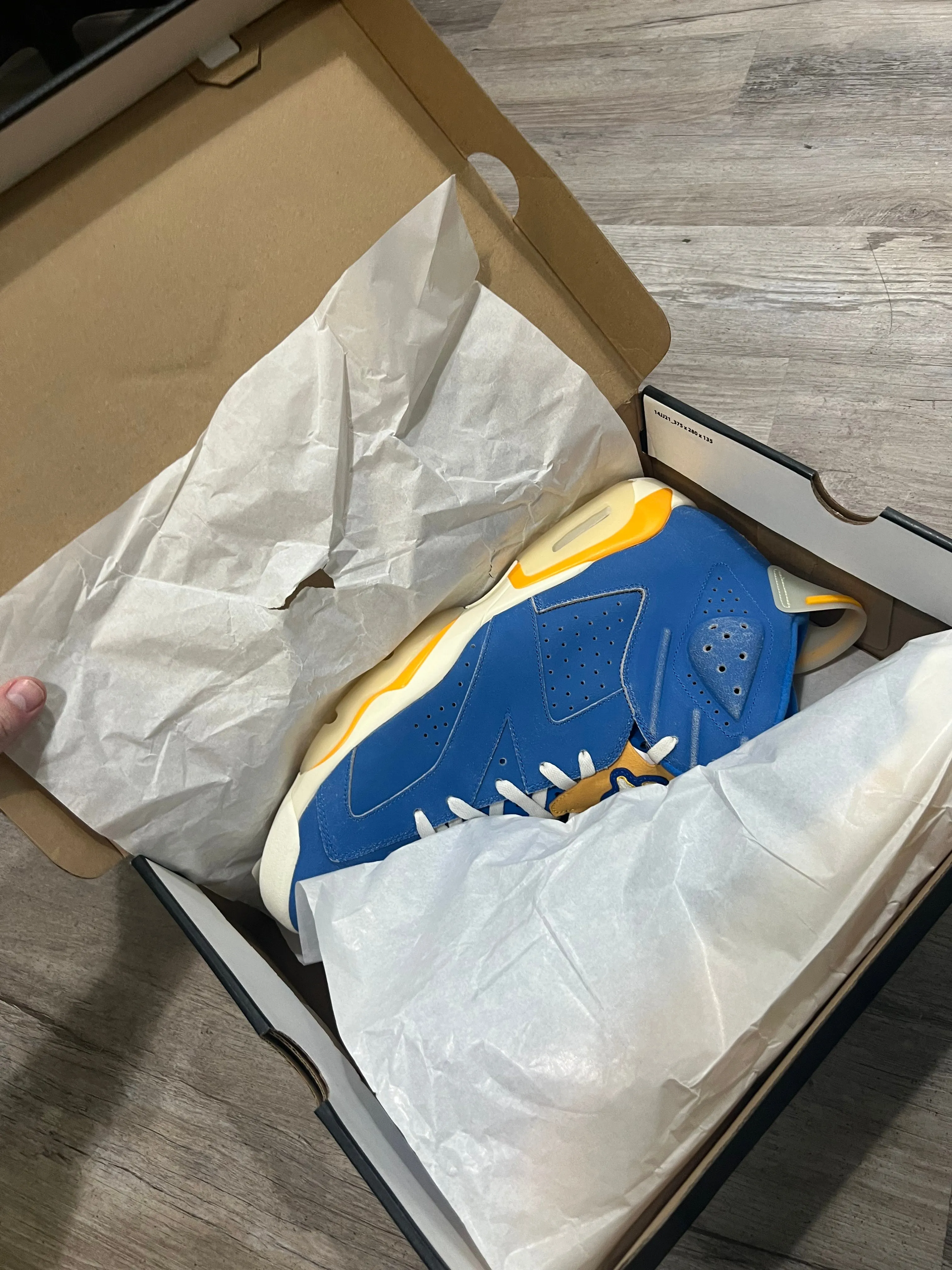 Air Jordan 6 Retro UCLA PE