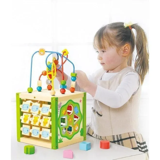 Ever Earth My First Multi-Play Activity Cube