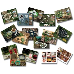 Mud Kitchen Activity Cards