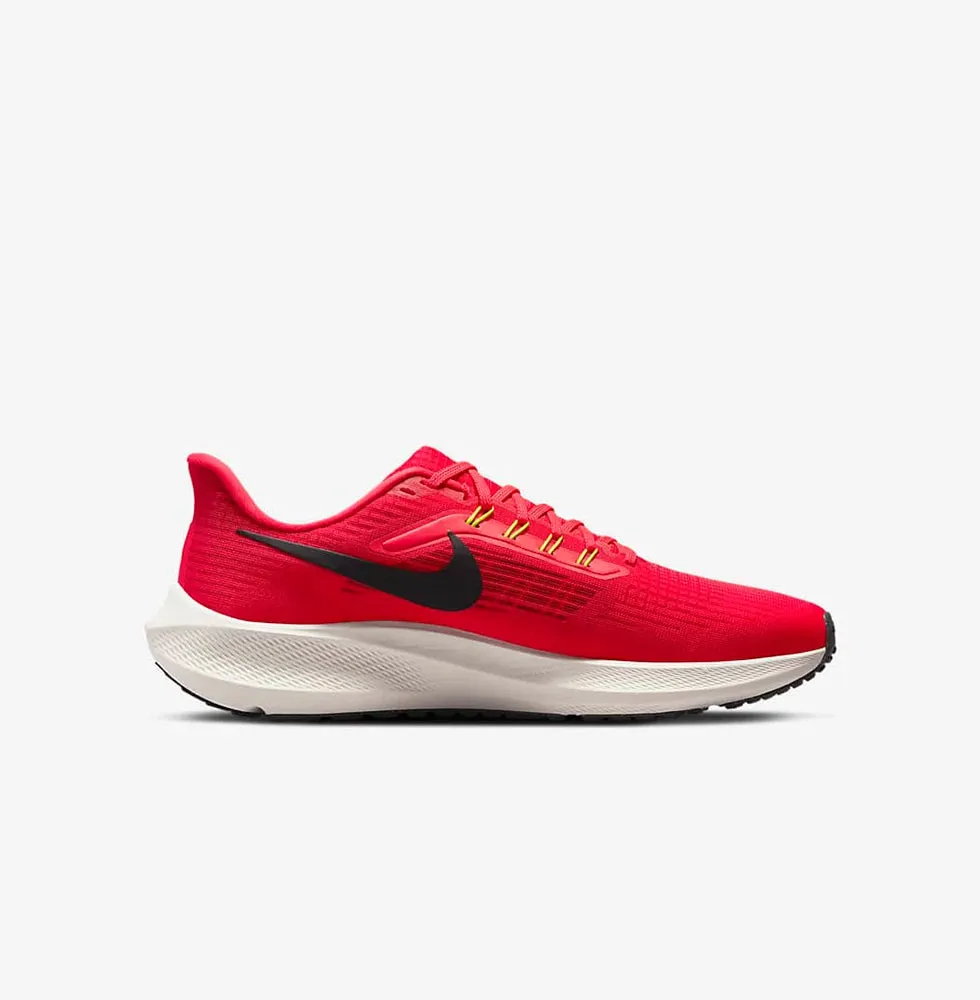 Nike Pegasus 39