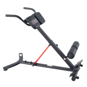 Sunny Strength™ Hyperextension Roman Chair with Dip Station