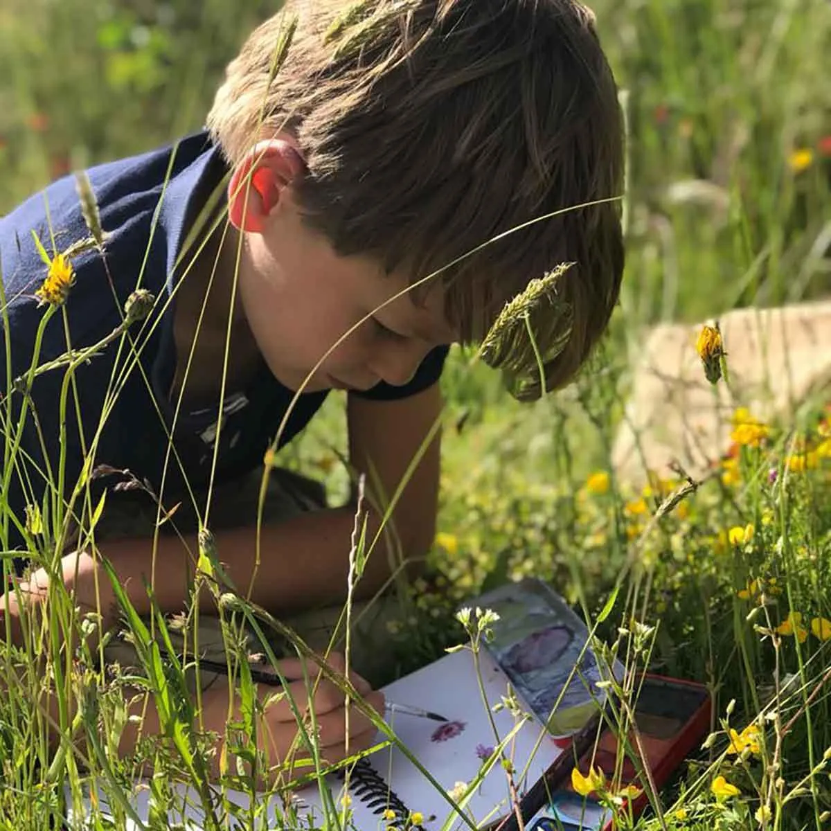 The Herbarium Activity Kit