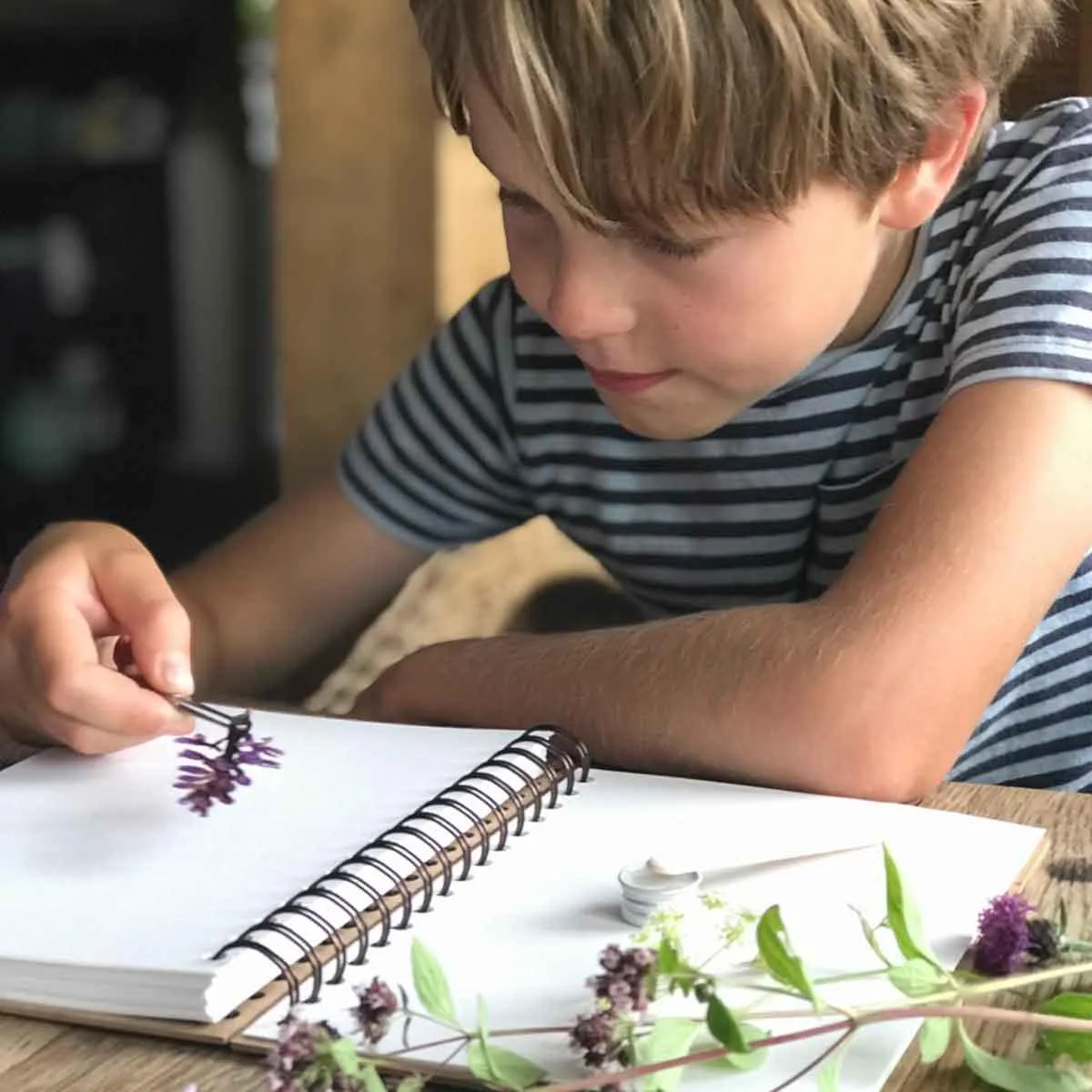 The Herbarium Activity Kit