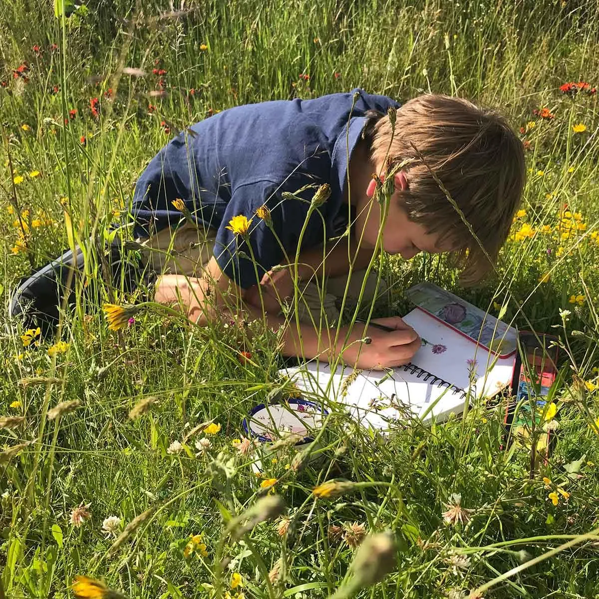 The Herbarium Activity Kit