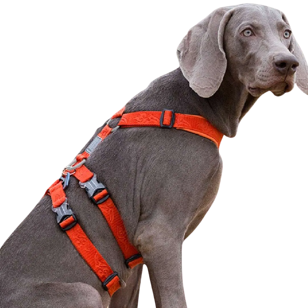 Tripoint Duraline Nylon Harness